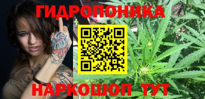 дмт Обнинск