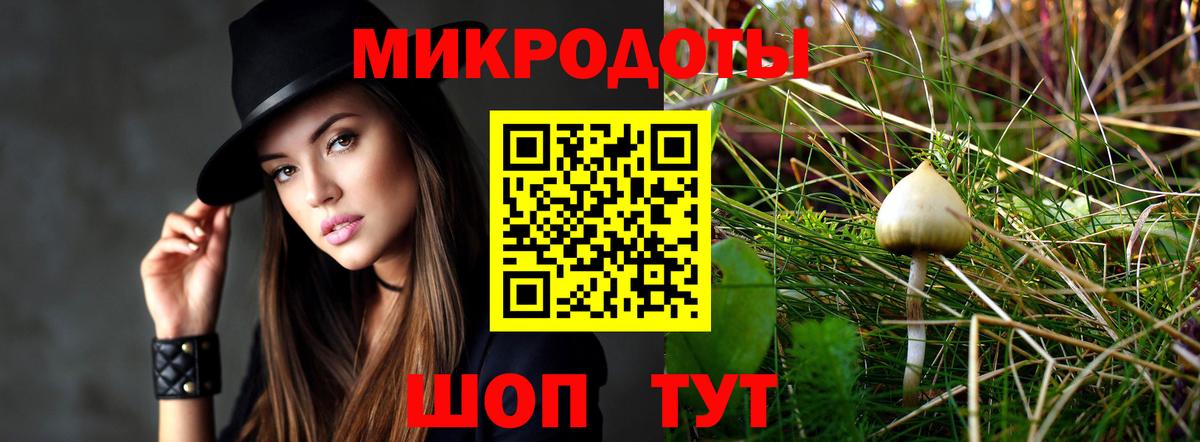 Шарыпово  Галлюциногенные грибы ЛСД  Вход с VPN 
